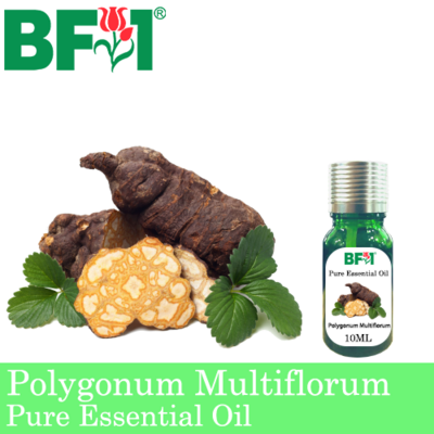 Pure Essential Oil (EO) - Polygonum Multiflorum Essential Oil - 10ml