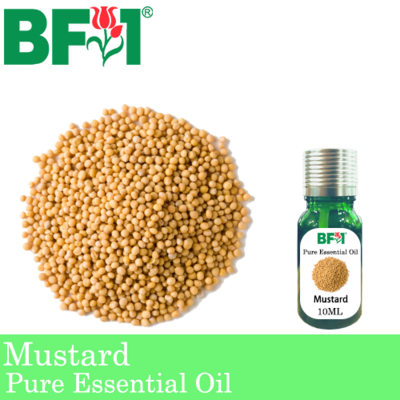 Pure Essential Oil (EO) - Mustard Essential Oil - 10ml