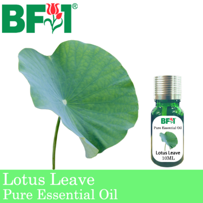 Pure Essential Oil (EO) - Lotus Leave Essential Oil - 10ml