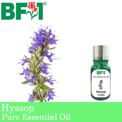 Pure Essential Oil (EO) - Hyssop Essential Oil - 10ml