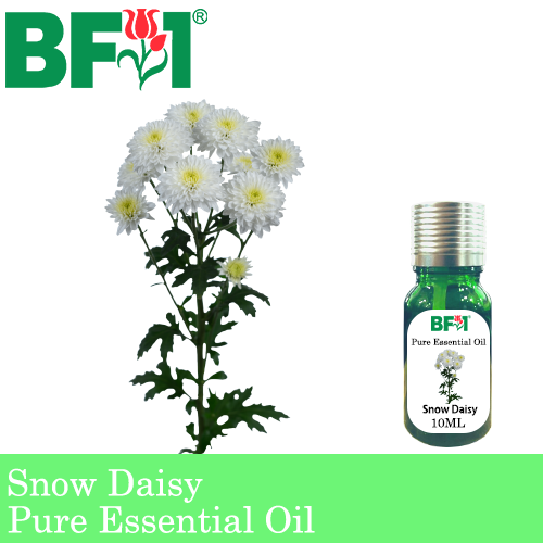 Pure Essential Oil (EO) - Snow Daisy Essential Oil - 10ml