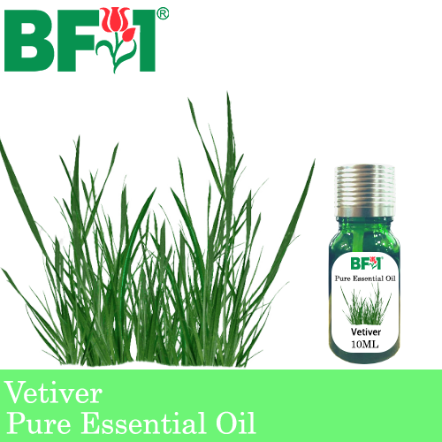 Pure Essential Oil (EO) - Vetiver Essential Oil - 10ml