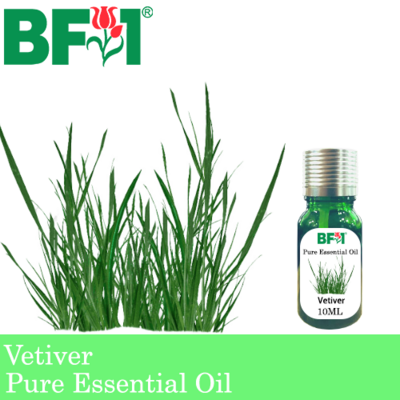 Pure Essential Oil (EO) - Vetiver Essential Oil - 10ml