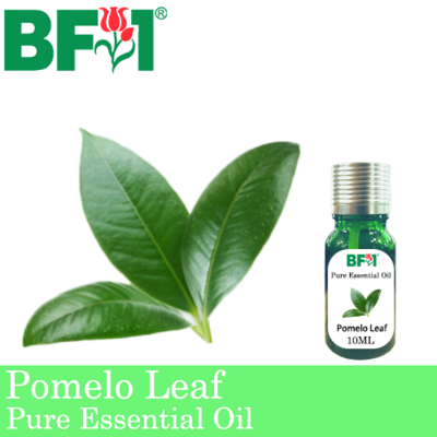 Pure Essential Oil (EO) - Pomelo Leaf Essential Oil - 10ml