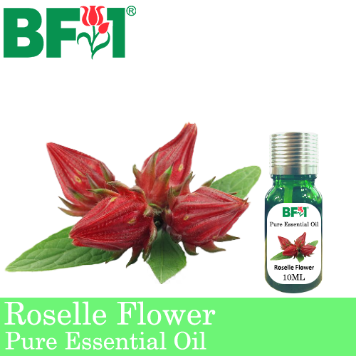 Pure Essential Oil (EO) - Roselle Flower Essential Oil - 10ml