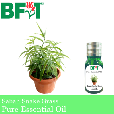Pure Essential Oil (EO) - Sabah Snake Grass Essential Oil - 10ml