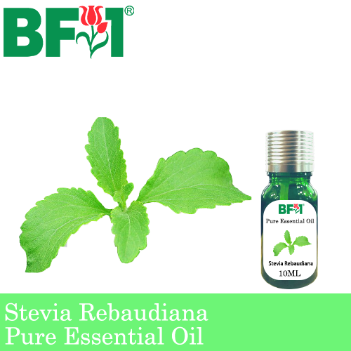 Pure Essential Oil (EO) - Stevia ( Stevia Rebaudiana ) Essential Oil - 10ml