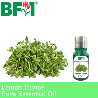 Pure Essential Oil (EO) - Thyme - Lemon Thyme Essential Oil - 10ml