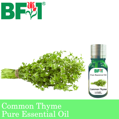 Pure Essential Oil (EO) - Thyme ( Common Thyme ) Essential Oil - 10ml
