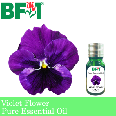 Pure Essential Oil (EO) - Violet Flower Essential Oil - 10ml