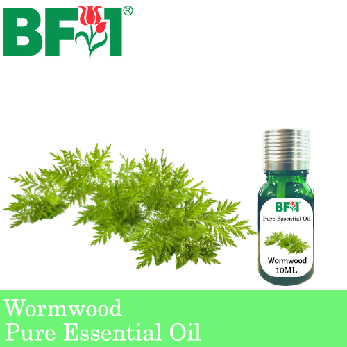 Pure Essential Oil (EO) - Wormwood Essential Oil - 10ml