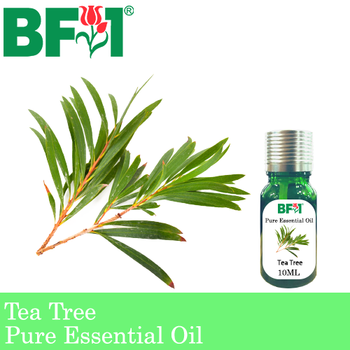 Pure Essential Oil (EO) - Tea Tree Essential Oil - 10ml