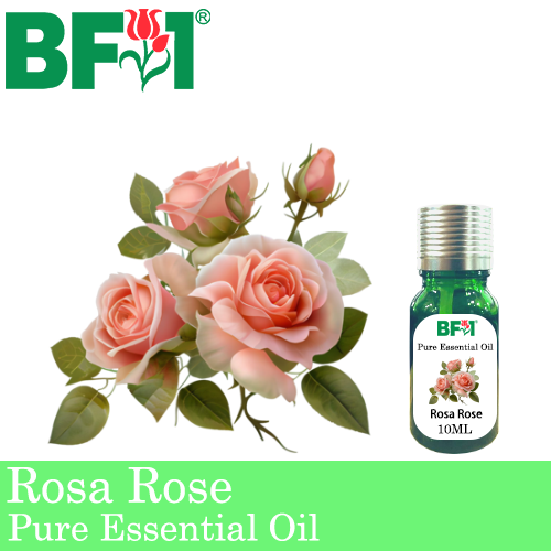 Pure Essential Oil (EO) - Rose - Rosa Rose Essential Oil - 10ml