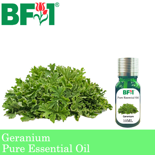 Pure Essential Oil (EO) - Geranium Essential Oil - 10ml