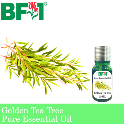 Pure Essential Oil (EO) - Tea Tree - Golden Tea Tree Essential Oil - 10ml