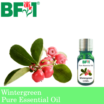 Pure Essential Oil (EO) - Wintergreen Essential Oil - 10ml