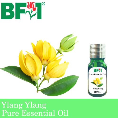 Pure Essential Oil (EO) - Ylang Ylang Essential Oil - 10ml
