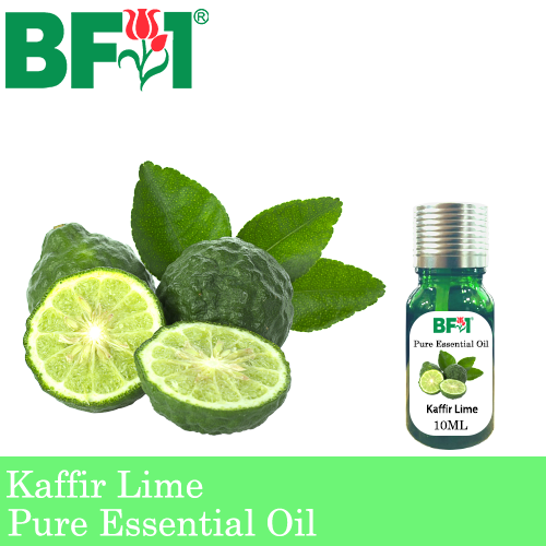 Pure Essential Oil (EO) - Lime - Kaffir Lime Essential Oil - 10ml