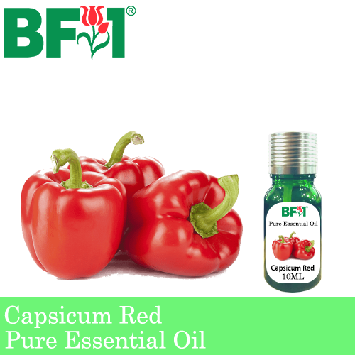 Pure Essential Oil (EO) - Capsicum Red Essential Oil - 10ml