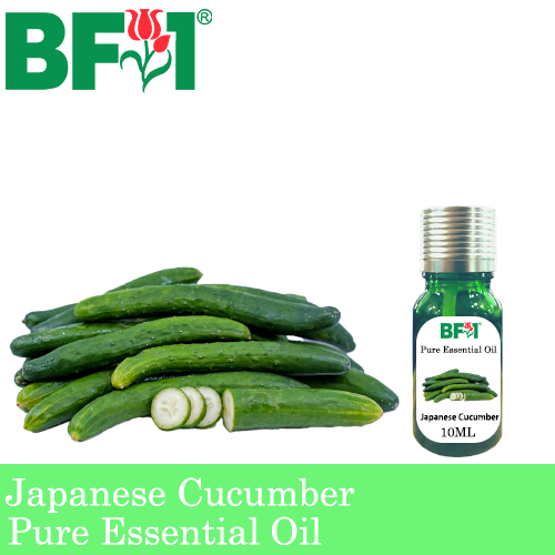 Pure Essential Oil (EO) - Japanese Cucumber Essential Oil - 10ml