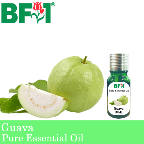 Pure Essential Oil (EO) - Guava Essential Oil - 10ml