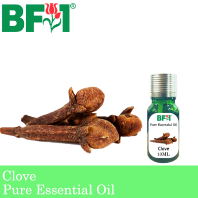 Pure Essential Oil (EO) - Clove Essential Oil - 10ml
