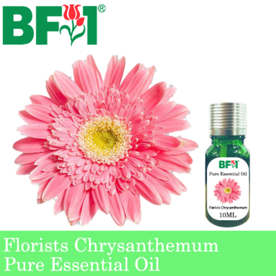 Pure Essential Oil (EO) - Chrysanthemum - Florists Chrysanthemum Essential Oil - 10ml
