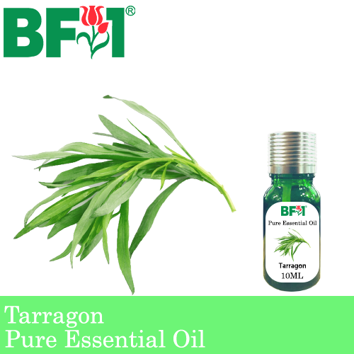 Pure Essential Oil (EO) - Tarragon Essential Oil - 10ml
