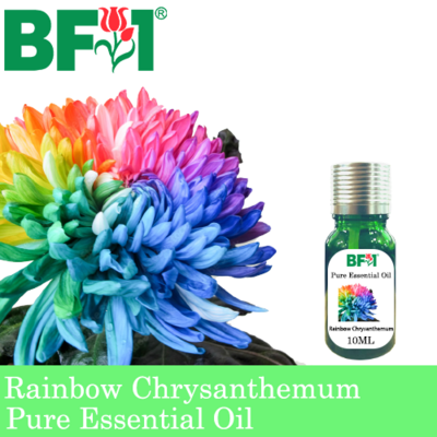 Pure Essential Oil (EO) - Chrysanthemum - Rainbow Chrysanthemum Essential Oil - 10ml