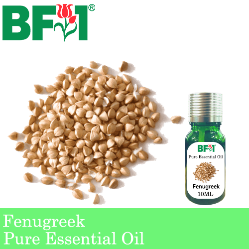 Pure Essential Oil (EO) - Fenugreek Essential Oil - 10ml