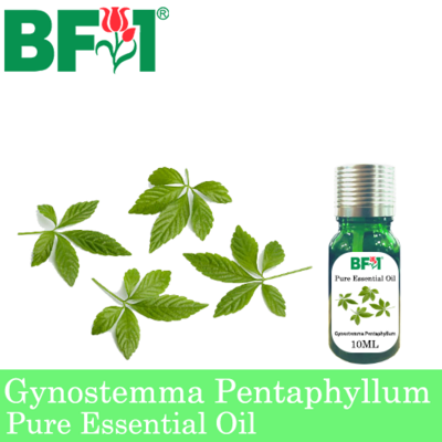 Pure Essential Oil (EO) - Gynostemma Pentaphyllum Essential Oil - 10ml