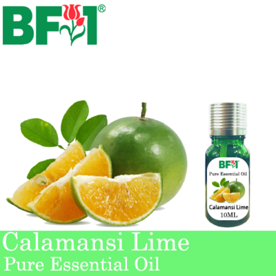 Pure Essential Oil (EO) - Lime - Calamansi Lime Essential Oil - 10ml