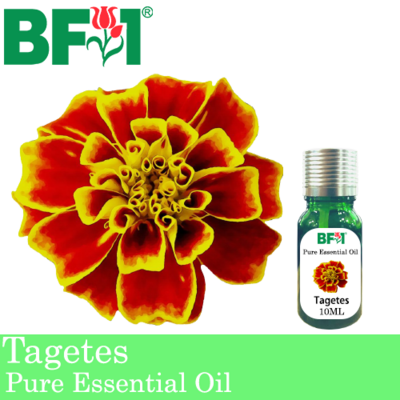Pure Essential Oil (EO) - Tagetes Essential Oil - 10ml