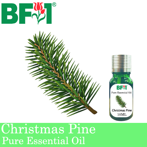 Pure Essential Oil (EO) - Pine - Christmas Pine Essential Oil - 10ml