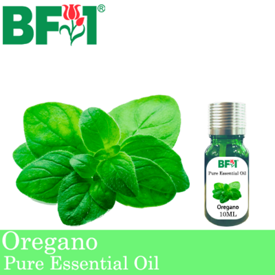 Pure Essential Oil (EO) - Oregano ( Origanum Vulgare ) Essential Oil - 10ml