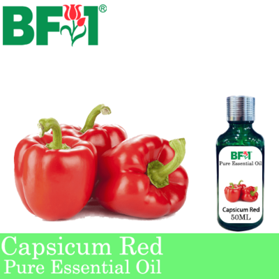 Pure Essential Oil (EO) - Capsicum Red Essential Oil - 50ml