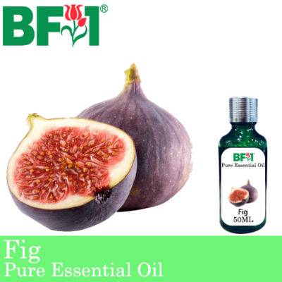 Pure Essential Oil (EO) - Fig Essential Oil - 50ml