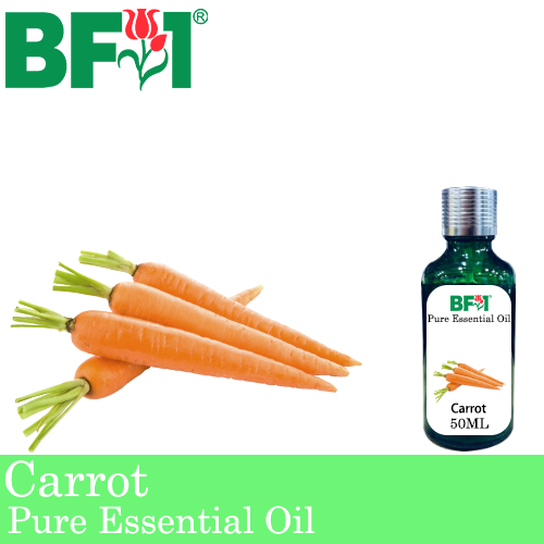 Pure Essential Oil (EO) - Carrot Essential Oil - 50ml