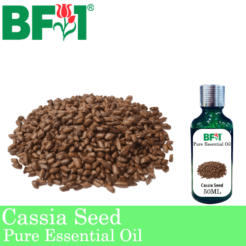 Pure Essential Oil (EO) - Cassia Seed Essential Oil - 50ml