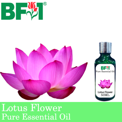 Pure Essential Oil (EO) - Lotus Flower Essential Oil - 50ml