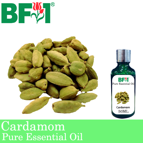 Pure Essential Oil (EO) - Cardamom Essential Oil - 50ml