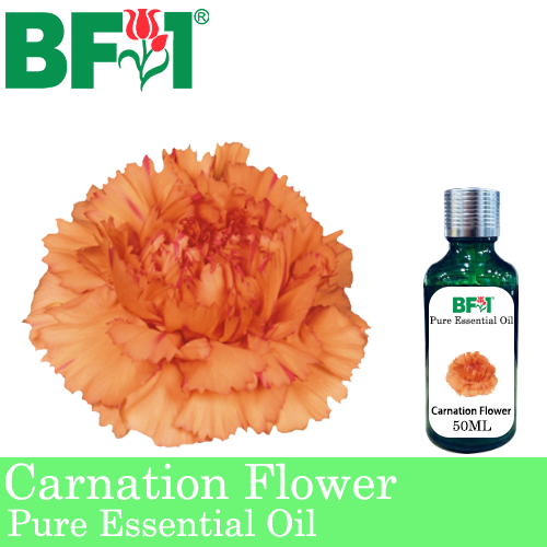 Pure Essential Oil (EO) - Carnation Flower Essential Oil - 50ml
