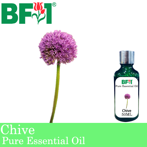 Pure Essential Oil (EO) - Chive ( Allium schoenoprasum L ) Essential Oil - 50ml