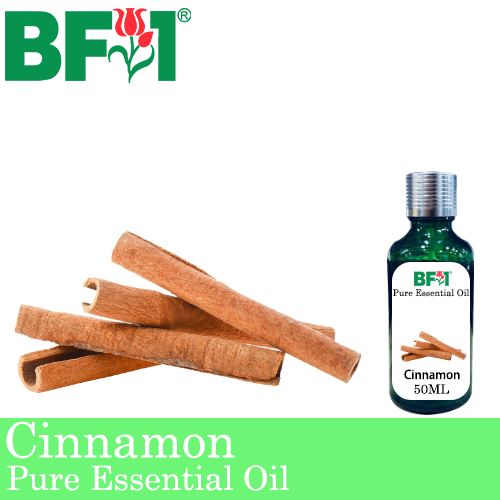Pure Essential Oil (EO) - Cinnamon Essential Oil - 50ml
