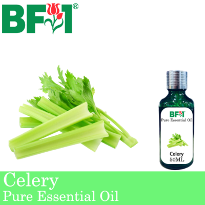 Pure Essential Oil (EO) -  Celery Essential Oil - 50ml