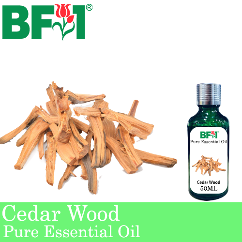 Pure Essential Oil (EO) - Cedar Wood Essential Oil - 50ml