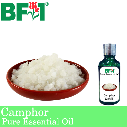 Pure Essential Oil (EO) - Camphor Essential Oil - 50ml
