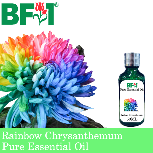 Pure Essential Oil (EO) - Chrysanthemum - Rainbow Chrysanthemum Essential Oil - 50ml