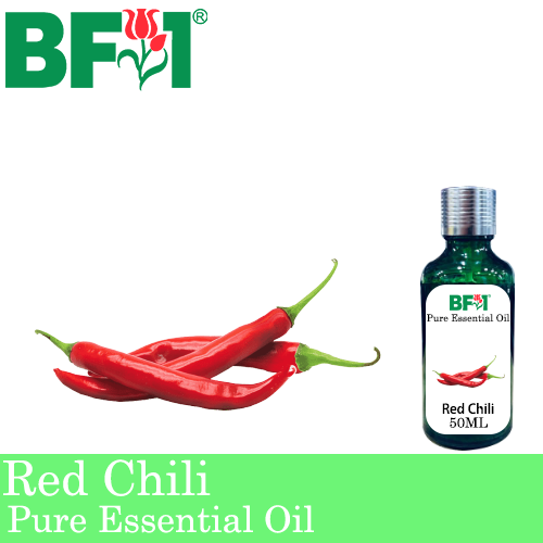 Pure Essential Oil (EO) - Chili - Red Chili Essential Oil - 50ml