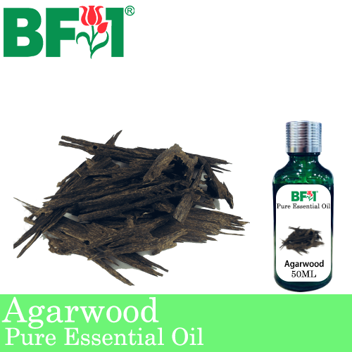 Pure Essential Oil (EO) - Agarwood Essential Oil - 50ml